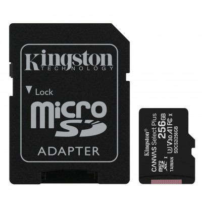 Фото Карта памяти Kingston SDCS2 256 GB, чтение: 100 MB/s, адаптер на SD, 1 шт.