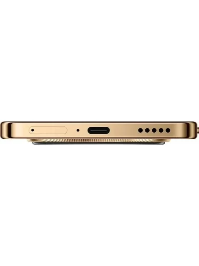 Honor X9d 12/256 ГБ Reddish Brown (MTN-NX1, Global Version)